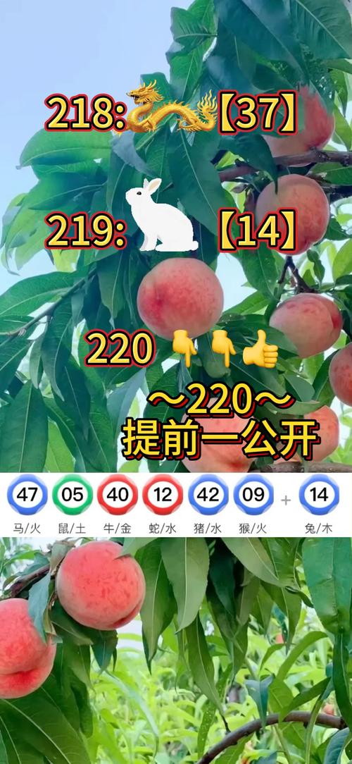 2025新澳门正版免费正题全部视频资讯和免签朋友圈再增5国与新增免签国