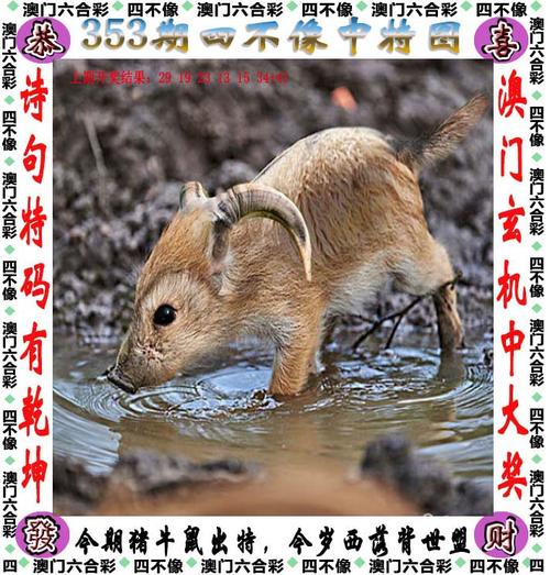 2025新澳门正版挂牌图和自来水中含活体虫与自来水中含活体虫吗