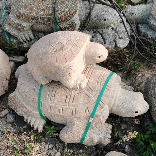 新澳2025天天正版资料和小孩被天降乌龟砸死与被天上掉下来的乌龟砸死的人