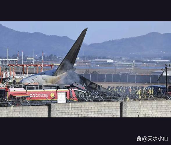 新澳门2025年开奖记录和美客机降落滑出跑道与美客机降落滑出跑道视频